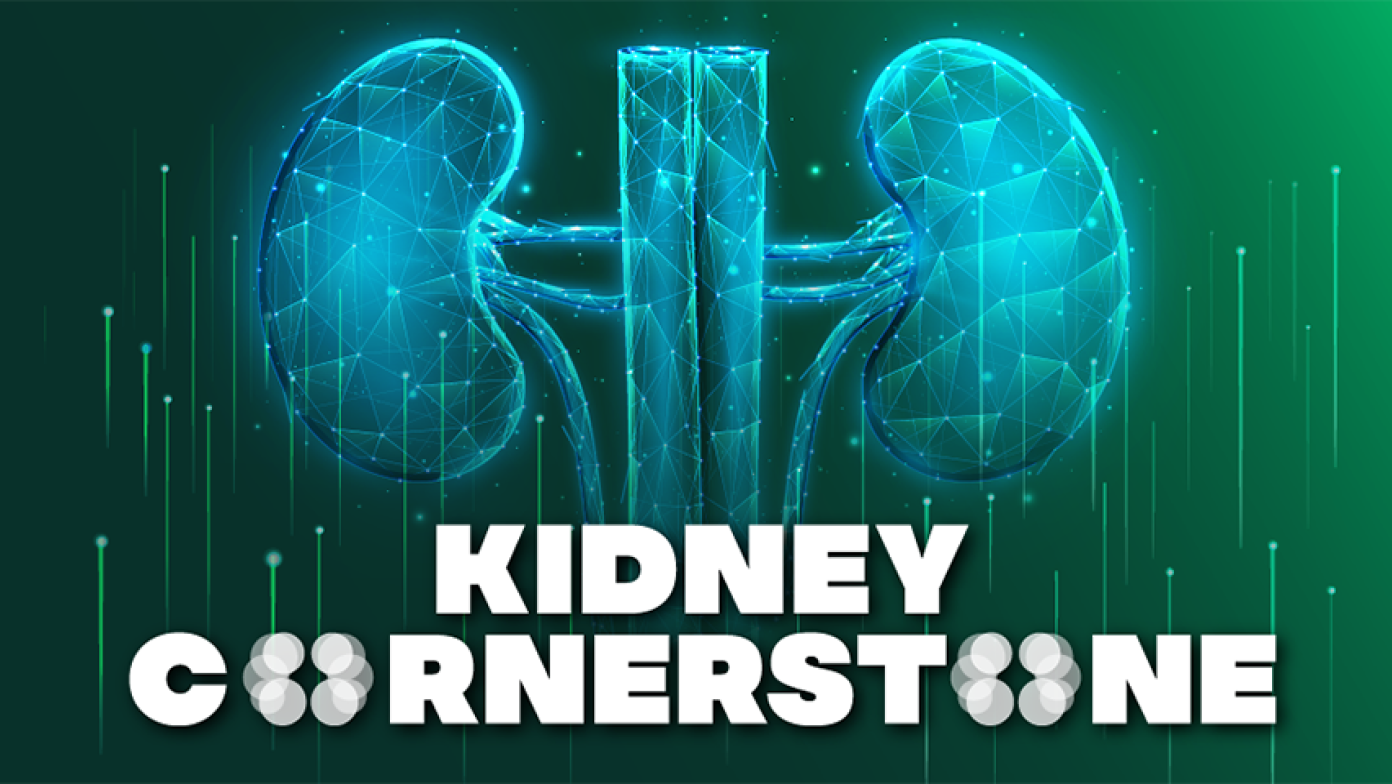 SIP-Kidney-image 1