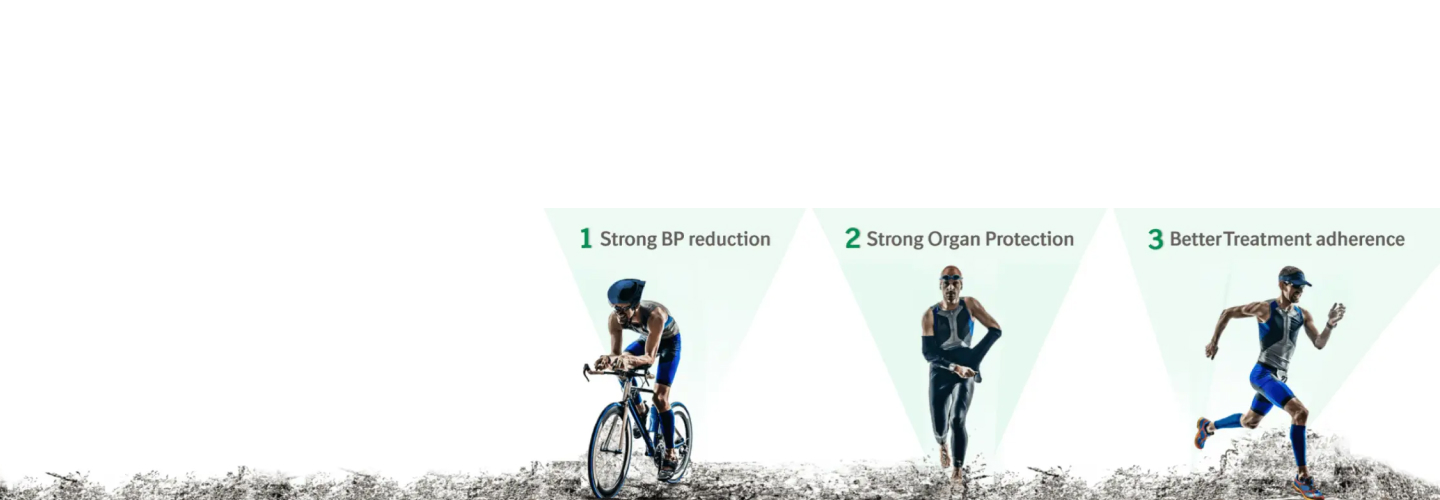 Cardiovascular Telmisartan