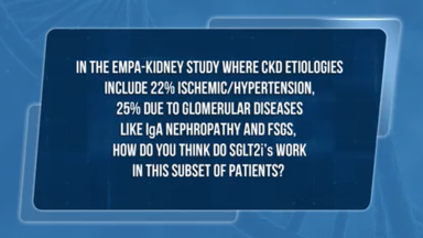 EMPA-KIDNEY’s broad CKD population: potential mechanisms